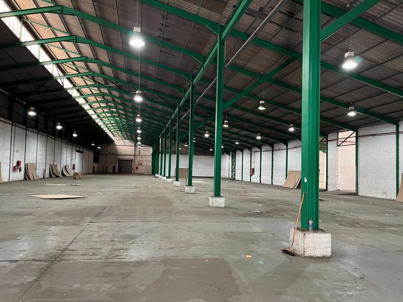 To Let Commercial Property for Rent in Epping Western Cape